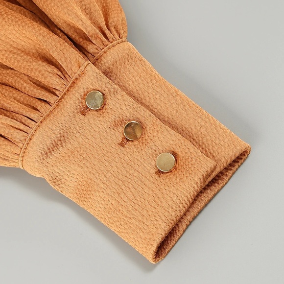 Lena Vie Drop Fall New High Quality Sexy V-Neck Pleated Lantern Sleeve Dress - Picture 8 of 13